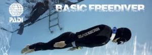 PADI Basic Freediver