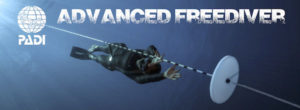 Padi Advanced Freediver