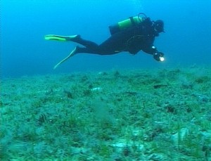 imersione porto cesareo