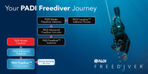 Freediver PADI Course
