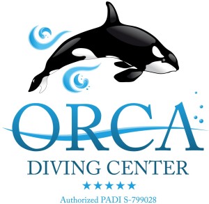 orca diving center