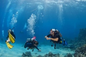 Open Water Porto Cesareo PADi Orca Diving Center