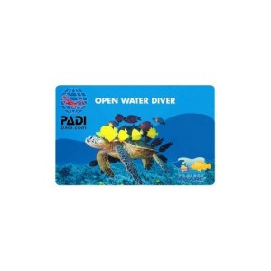 Open Water Diver Course with orca diving center