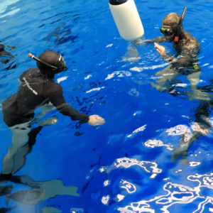 Briefing Nicola Florio PADI Freediver Instructor