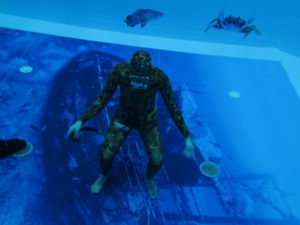 Apnea Nicola Florio Freediver Instructor