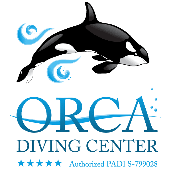 Wreck diver specialty orca diving center