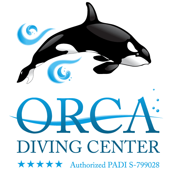 Tester erogatori Poseidon orca Diving center