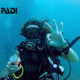 my PADI Story Garzia aAlmisano