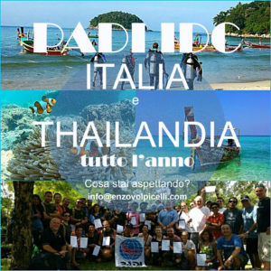 idc padi in thailandia ed italia