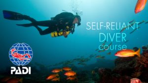 PADI Self Reliant