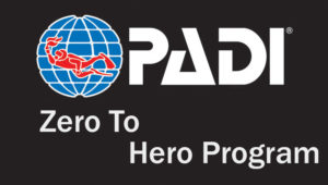 zero to hero program internhip