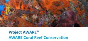 AWARE Coral Reef PADI