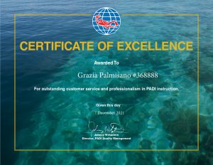 certificate of excellence grazia palmisano