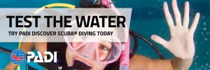 discover scuba diving padi
