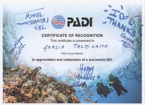 certificate of recognition grazia palmisano 12 2024