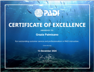 grazia_2024 certificate of excellence