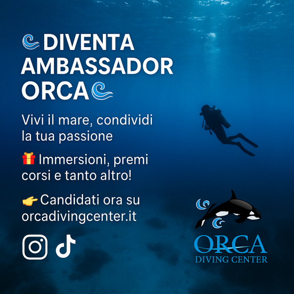 Ambassador orca Diving Center
